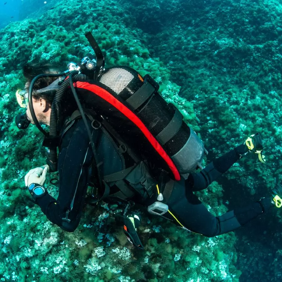 Жилет компенсатор BCD SEAC SUB MODULAR RED ONE SIZE